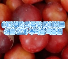 어다행다-자두맛-효과