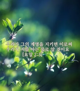 요한일서 4장 19절 묵상 - 우리가 사랑함은 그가 먼저 우리를 사랑하셨음이라_24