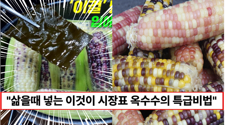 “옥수수 삶을 때 꼭 넣어야합니다” 대기줄만 100미터라는 시장표 옥수수 특급 비법 공개