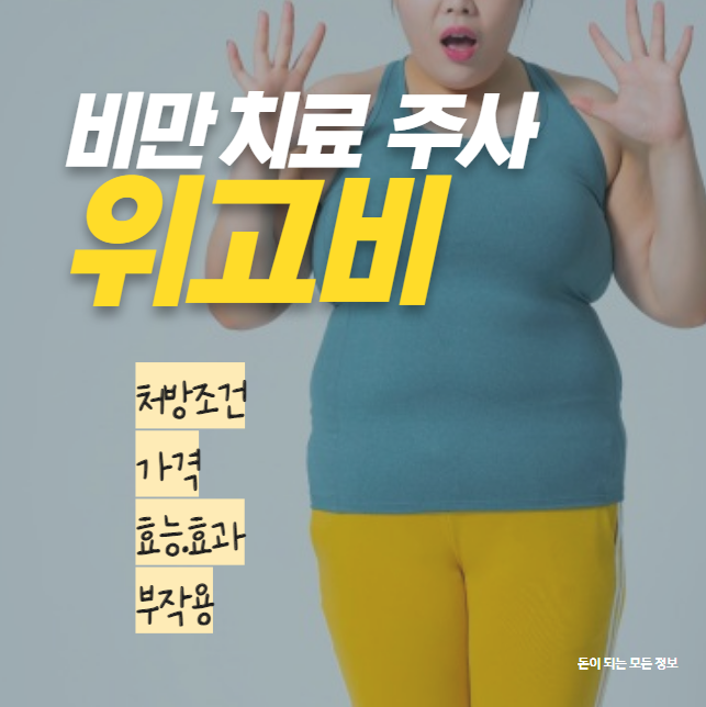 비만 치료제 주사 위고비 처방 조건과 가격. 효능효과. 부작용