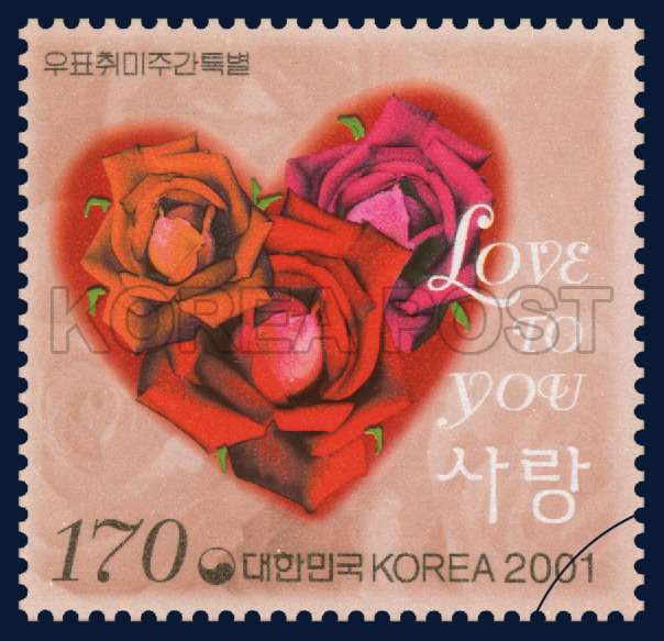 가시버시 이미지