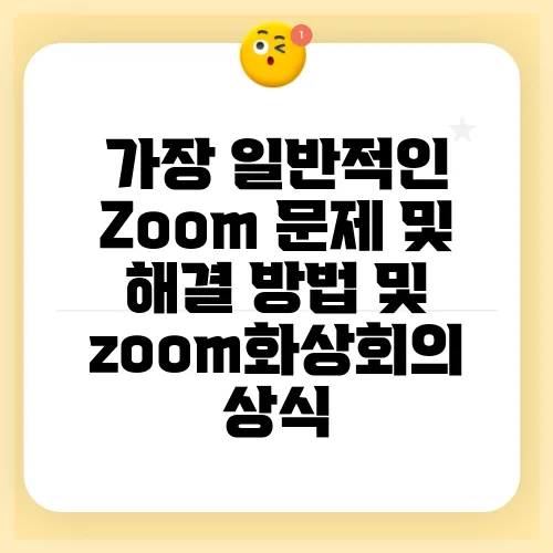가장 일반적인 Zoom 문제 및 해결 방법 및 zoom화상회의 상식