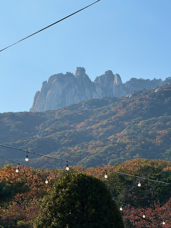 피카푸캠핑