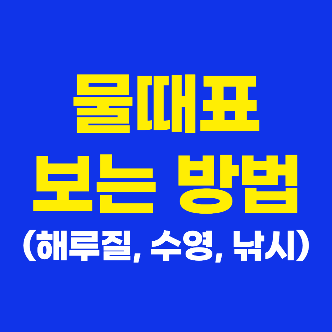 물때표 보는 방법(해루질, 수영, 낚시)