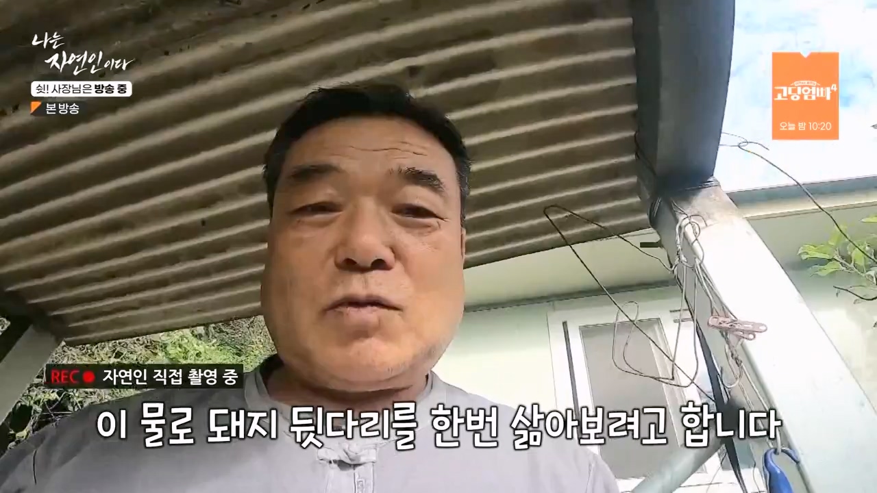 나는 자연인이다.E573.230928p-NEXT.mp4_20230929_174818.591.jpg