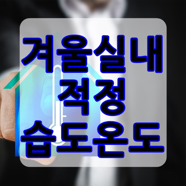  겨울철 실내적정습도 및 온도 까지 정리