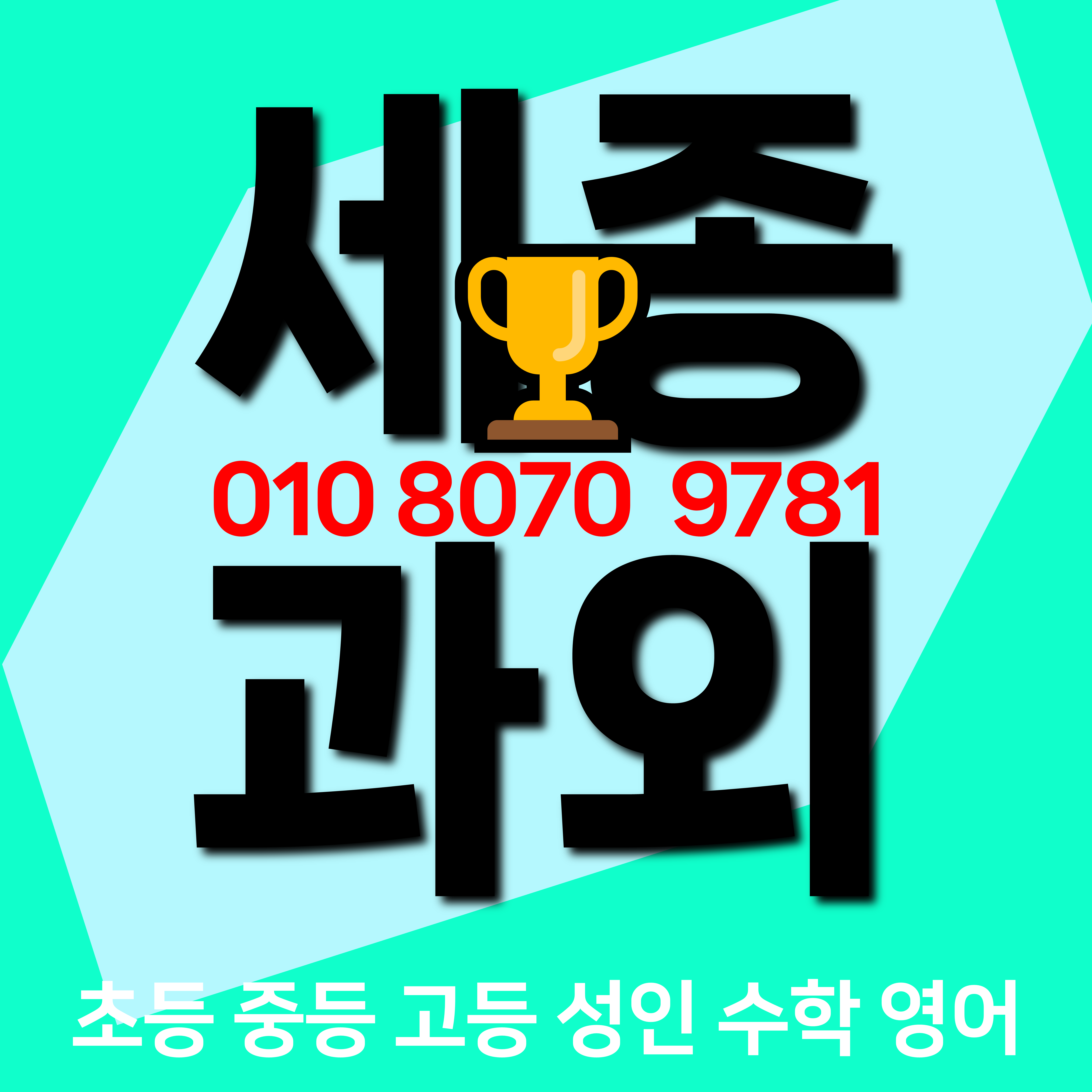  세종 연기면 초등 수학과외 연남초등학교 영어과외 초등학생 기초 복습 예습 공부습관