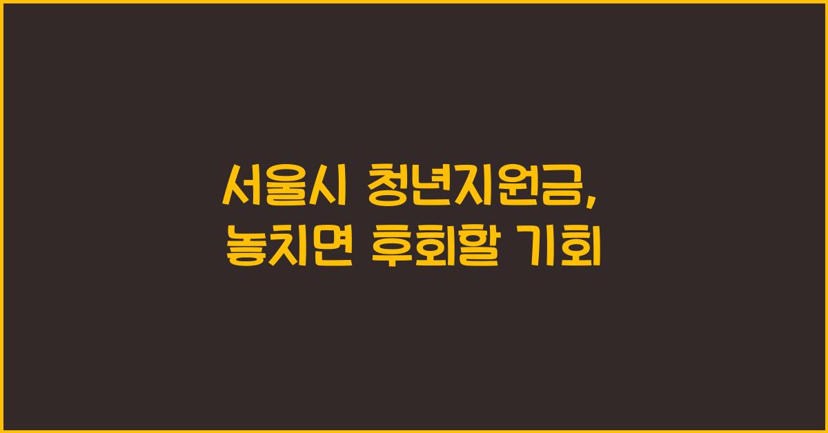 서울시 청년지원금