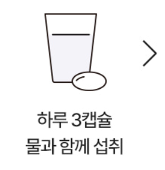 푸응 팻버닝 효과