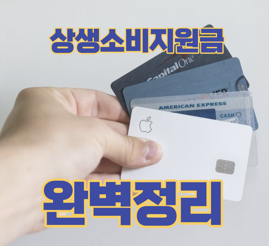국민 카드 상생 소비 지원금