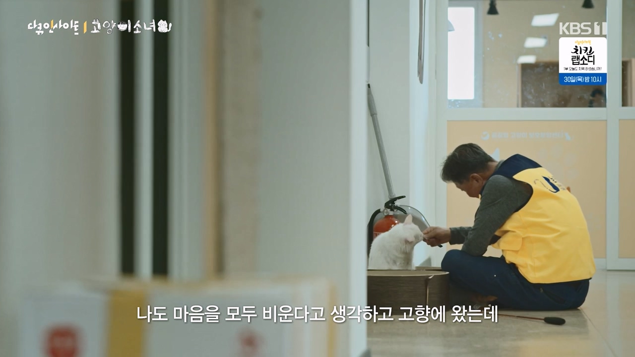 다큐 인사이트.E189.240524p-NEXT.mp4_20240524_205111.334.jpg