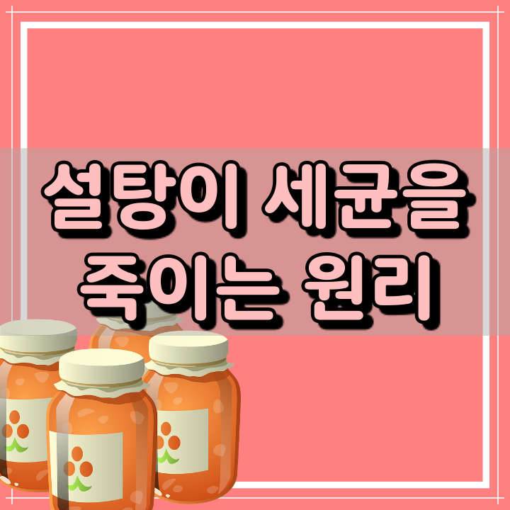  설탕과 소금이 세균을 죽이는 원리