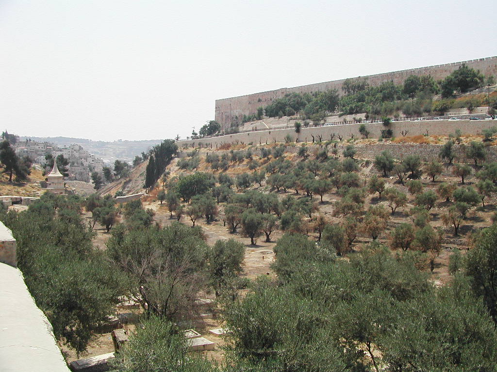예루살렘_외곽-기드온골짜기