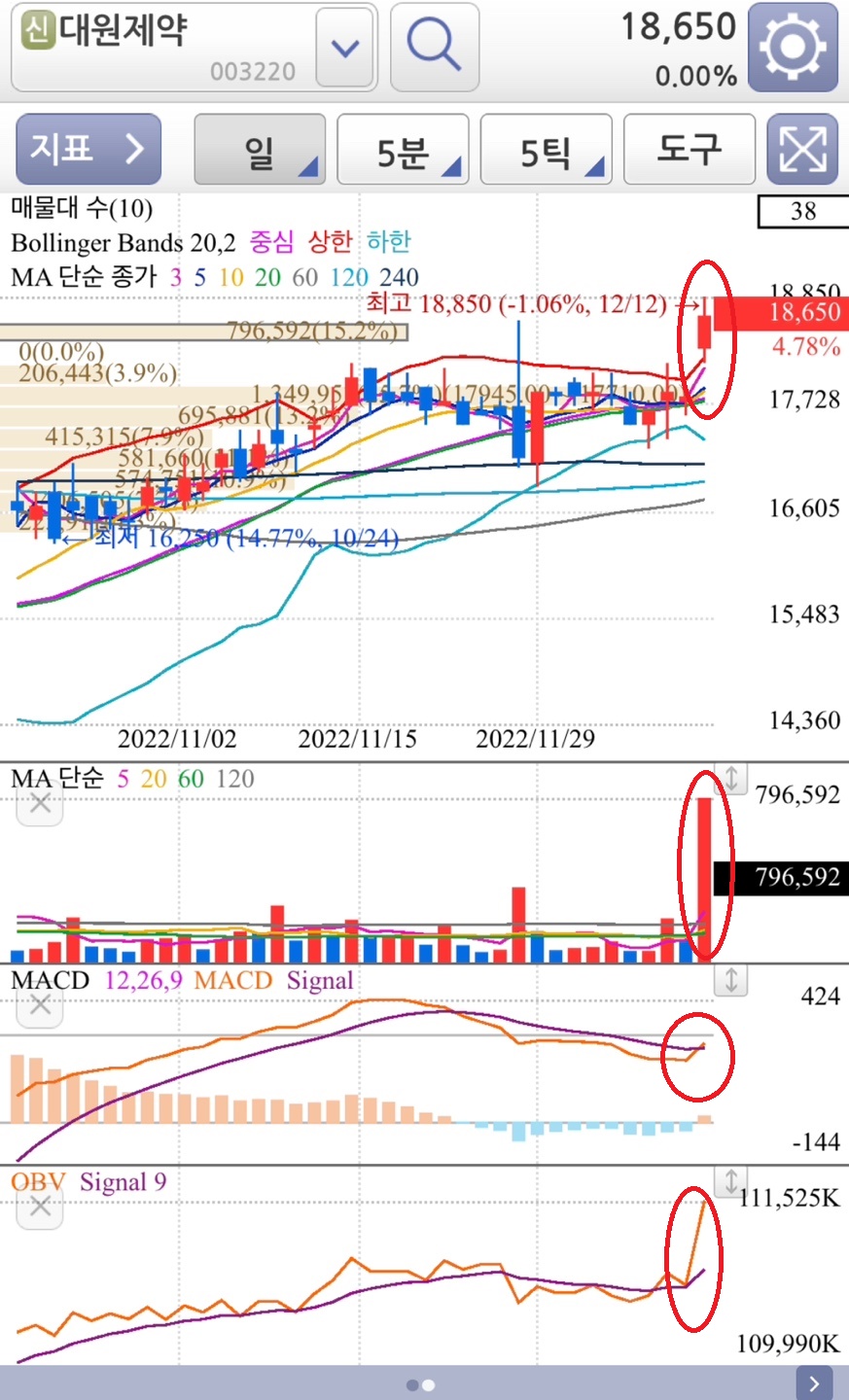 대원제약 일봉챠트