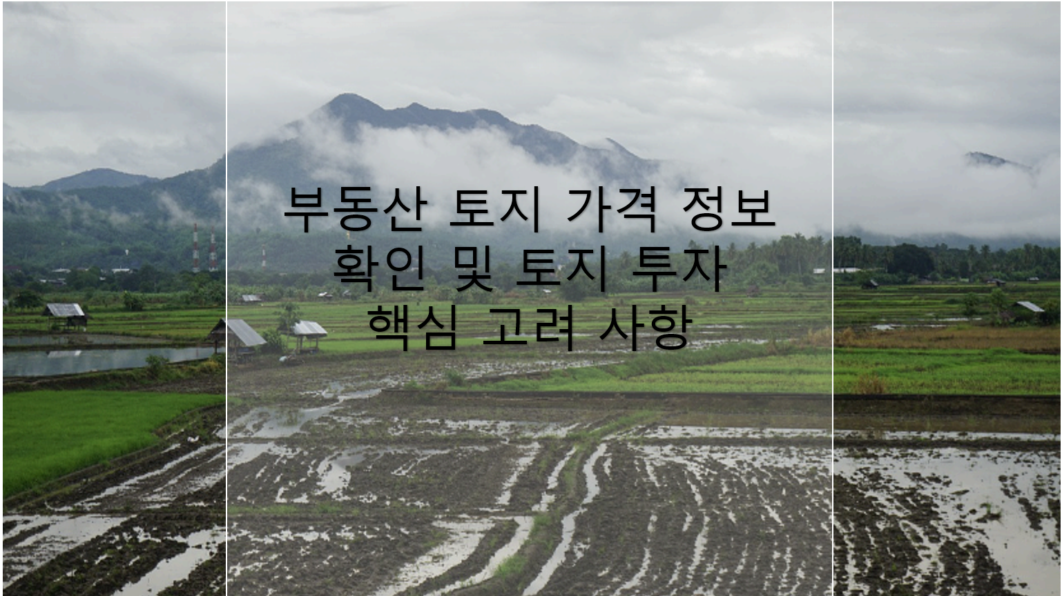 부동산 투자