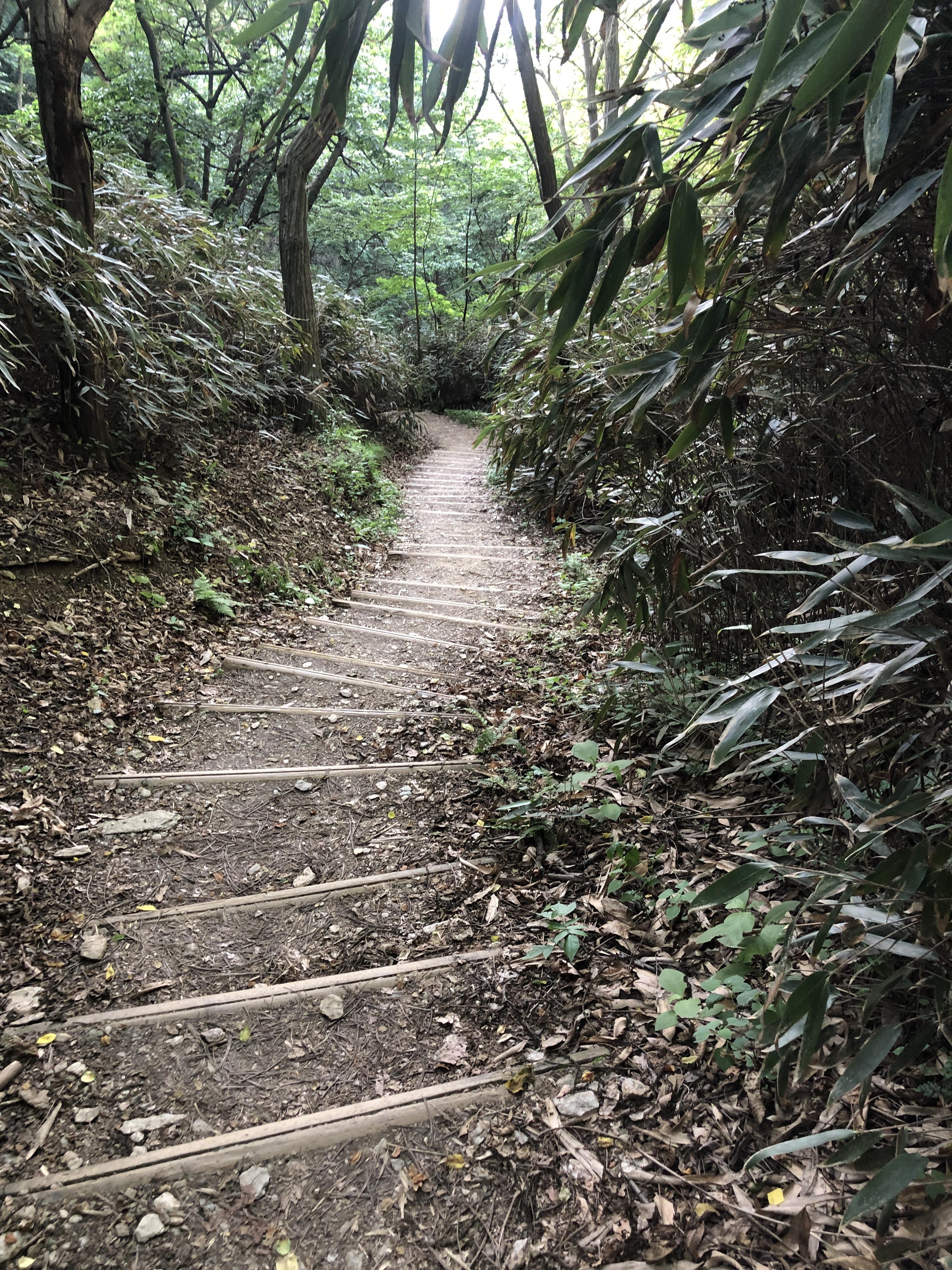 민수랜드-전주기린봉 계단길