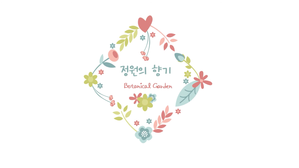  남천 나무 삽목 번식하는 방법 묵은 가지, 상토 오아시스, 가지치기
