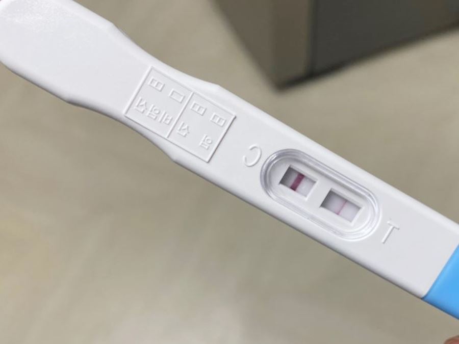 임신-테스트기
