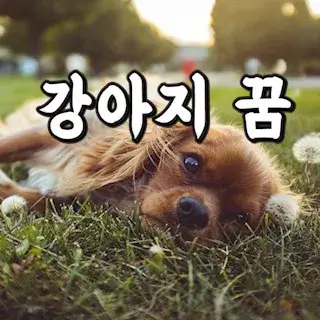 dog-강아지-개-꿈-해몽-꿈풀이