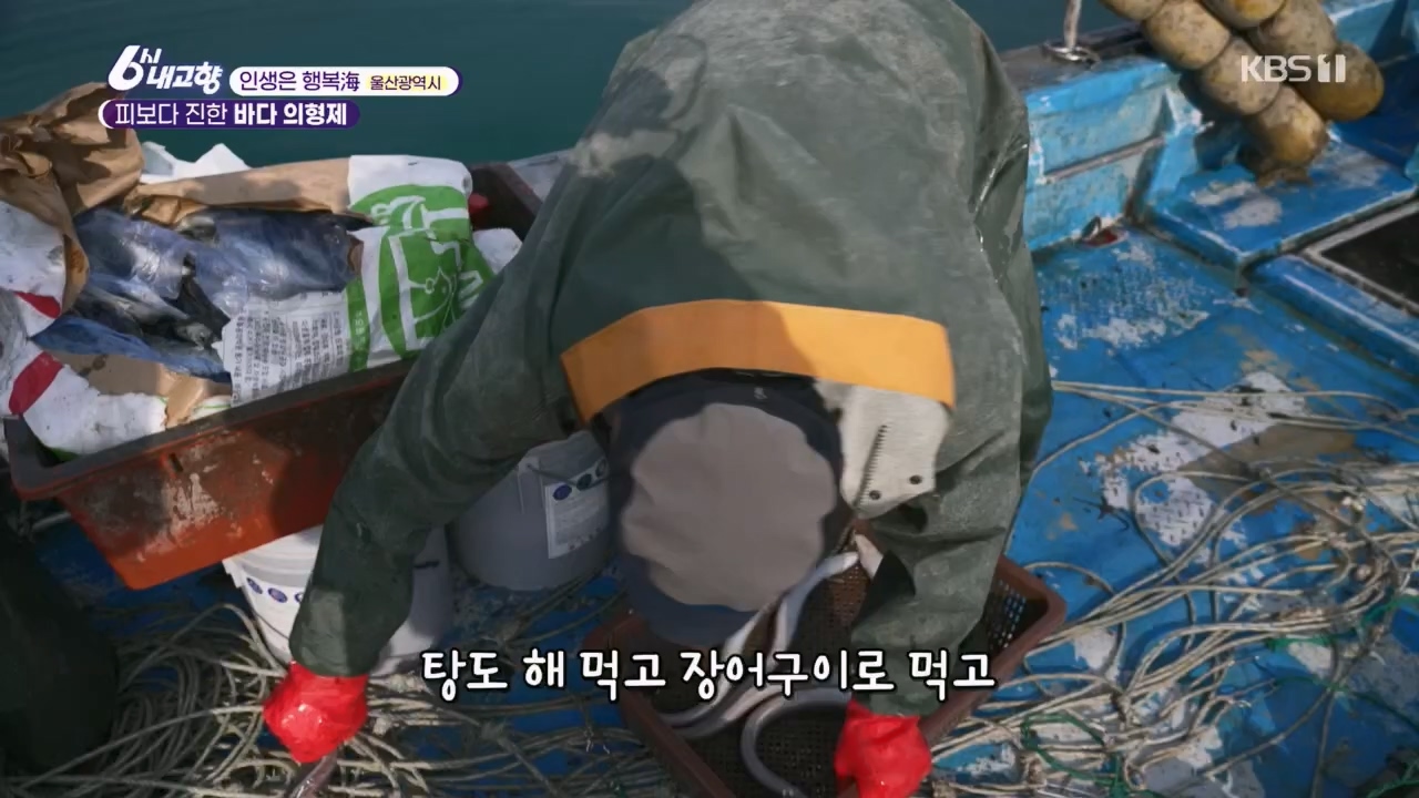 6시 내고향.E7763.230411p.H264-F1RST.mp4_20230411_203328.104.jpg