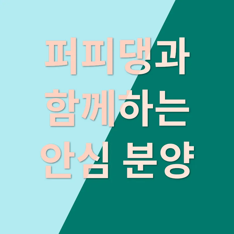 강아지 분양_2