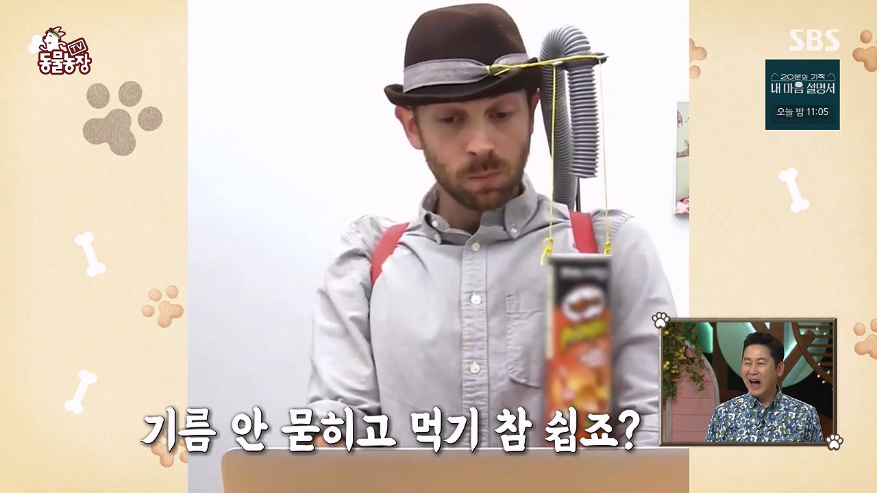 TV 동물농장.E1172.240520p-NEXT.mp4_20240519_162156.397.jpg