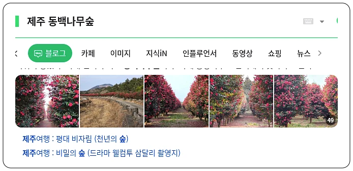 제주 동백나무숲_1_subsection