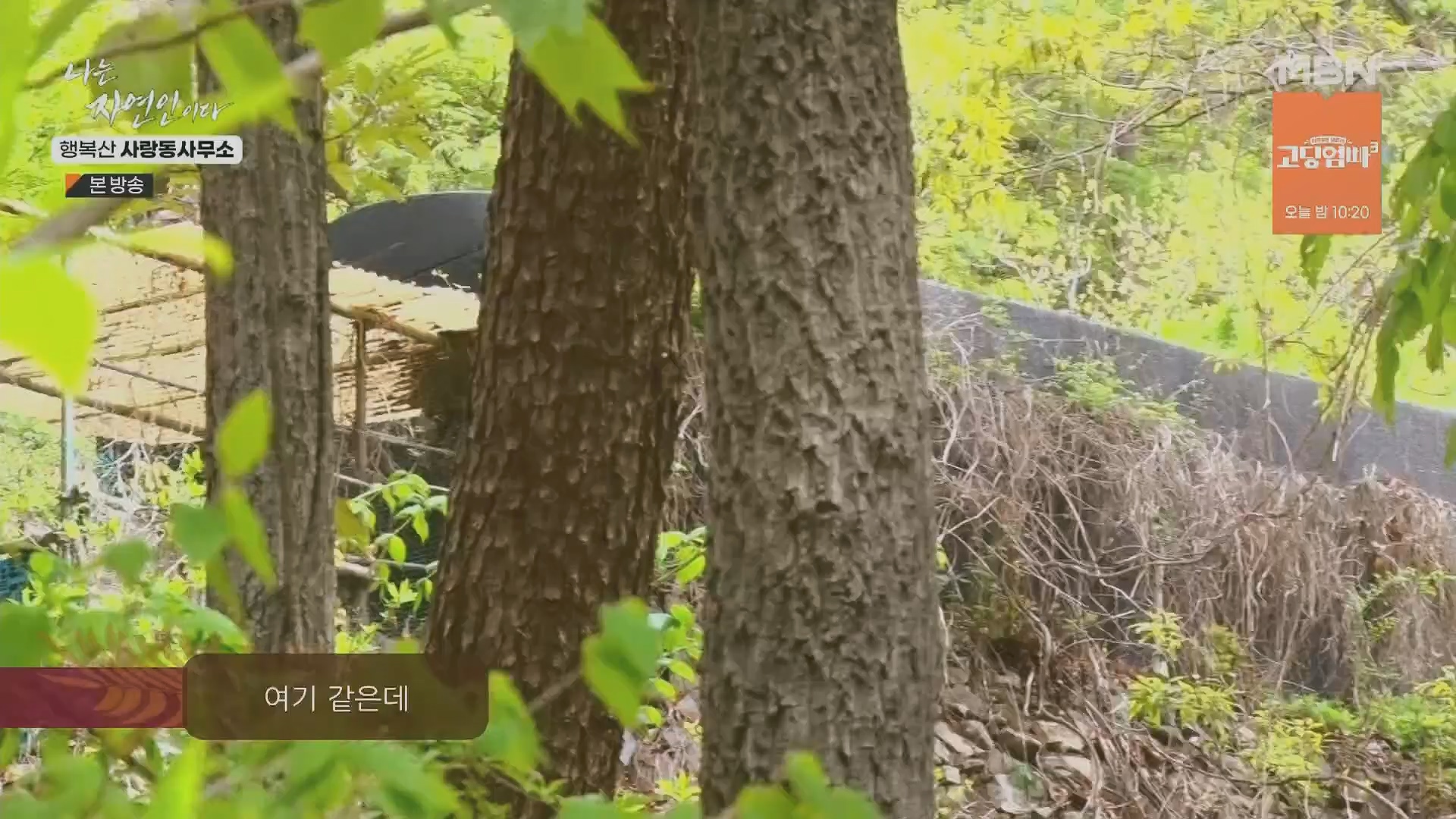 나는 자연인이다.E552.230503p.H264-F1RST.mp4_20230504_200303.133.jpg