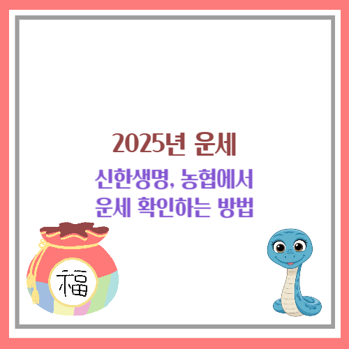 2025년 운세