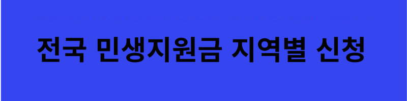 민생지원금