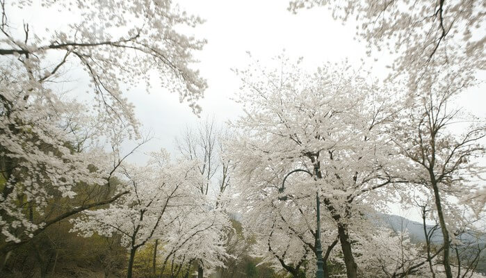 금오산도립공원-케이블카