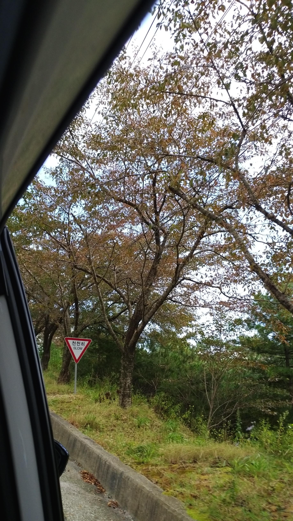  [20201003]양산 신불산 에덴벨리 드라이브