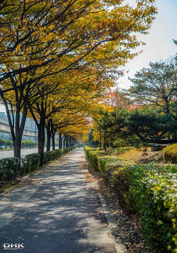 김해연지공원