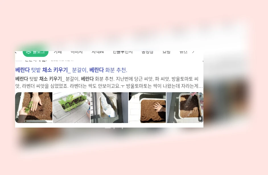 베란다 채소 키우기_1_subsection