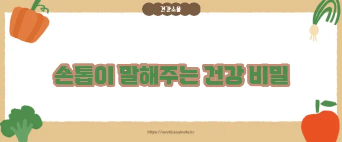 손톱으로 보는 건강상태 (+이상 신호 해석법)