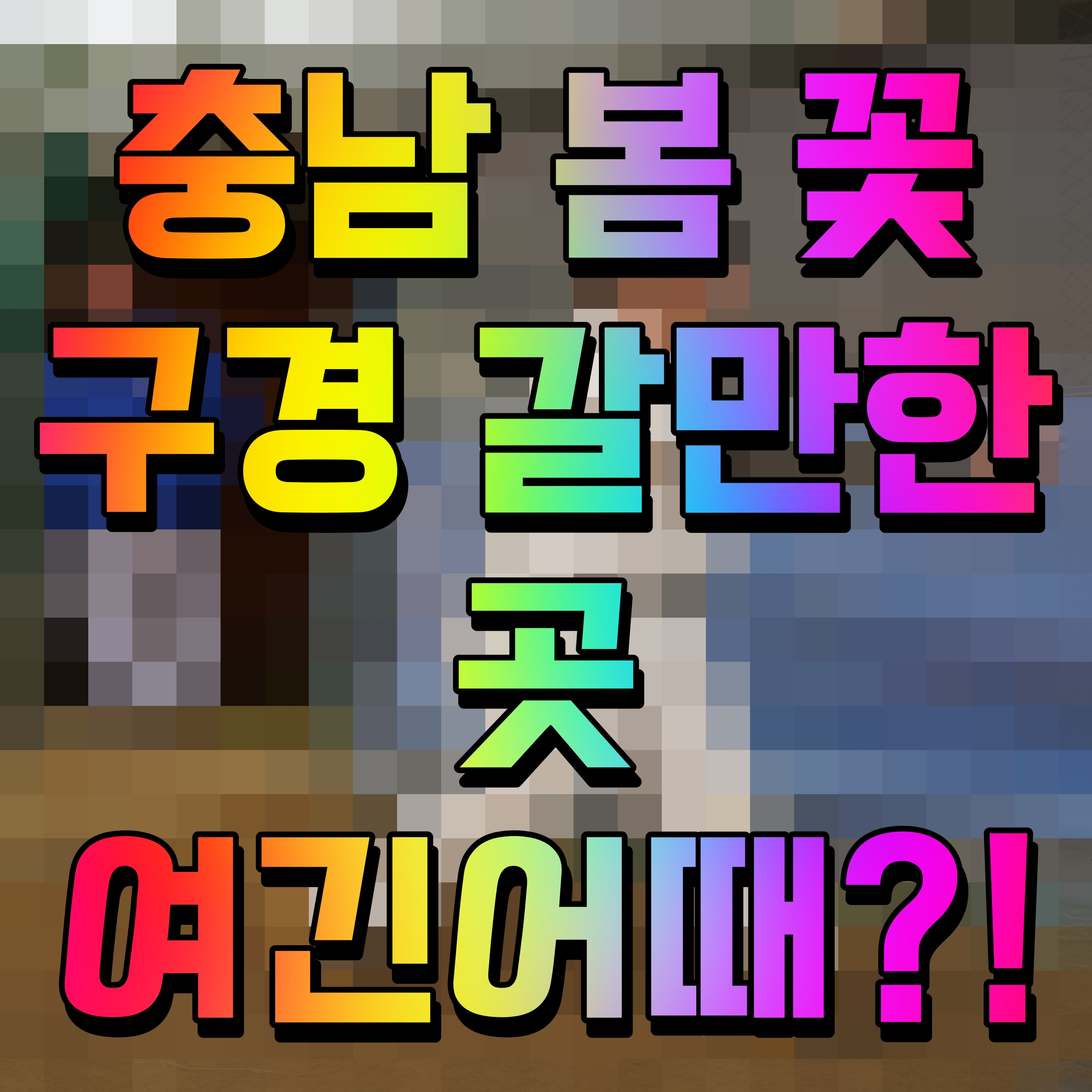  충남 봄 꽃구경 갈만한 곳 태안 천안 금산 서산 여행 떠나보자
