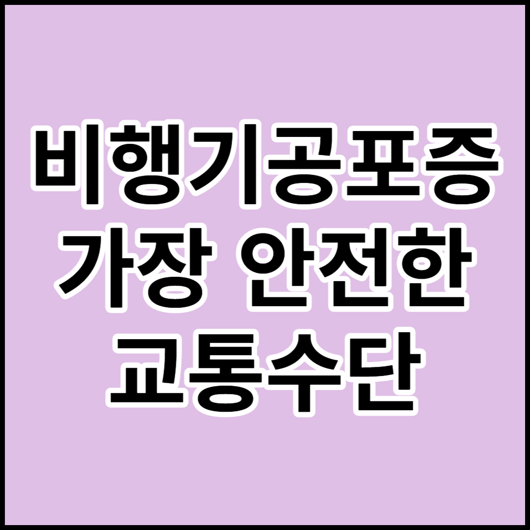  [비행기공포증]이유와 증상,대처방안 및 항공업계의 대처