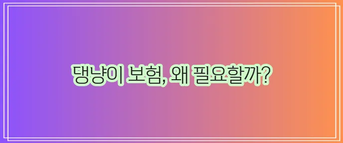 KB손해보험 애완동물보험으로 댕냥이 행복과 건강 꼭 지켜주세요!