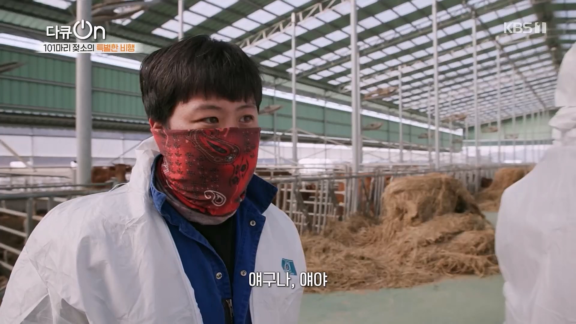 다큐 On.E184.230203p.H264-F1RST.mp4_20230211_175635.946.jpg