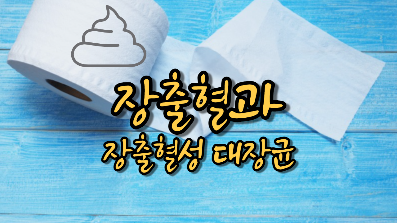  장출혈과 장출혈성 대장균