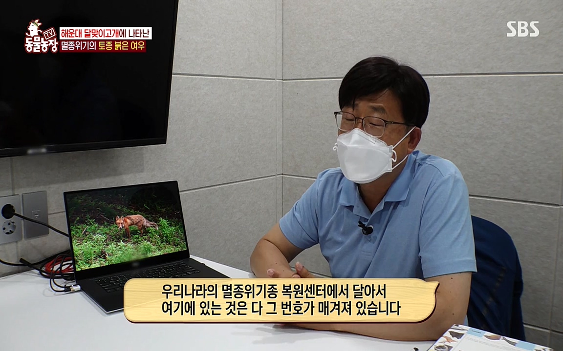 TV 동물농장.E1079.220725p-NEXT.mp4_20220724_151954.617.jpg