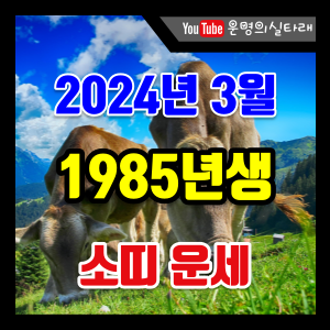 썸네일 사진