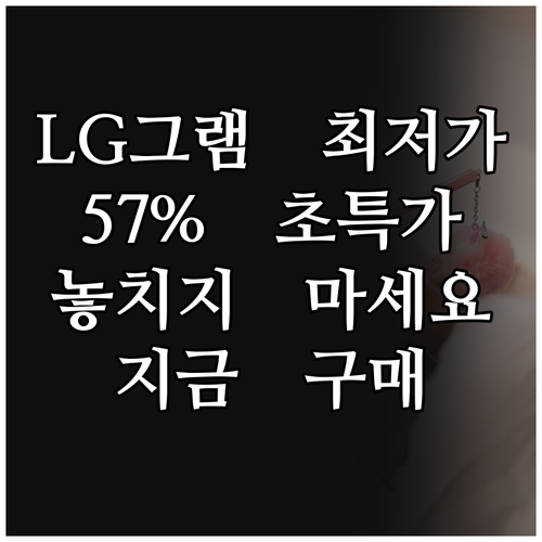 가성비 노트북 추천 LG그램 57% 