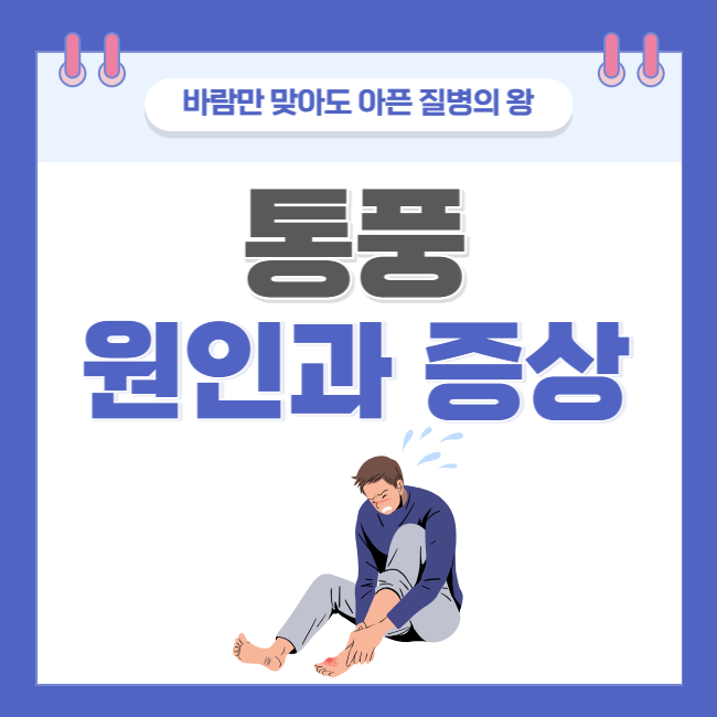  바람만 맞아도 아픈 질병의 왕? (feat. 통풍의 원인/증상/예방/관리)