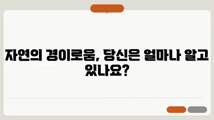 자연현상
