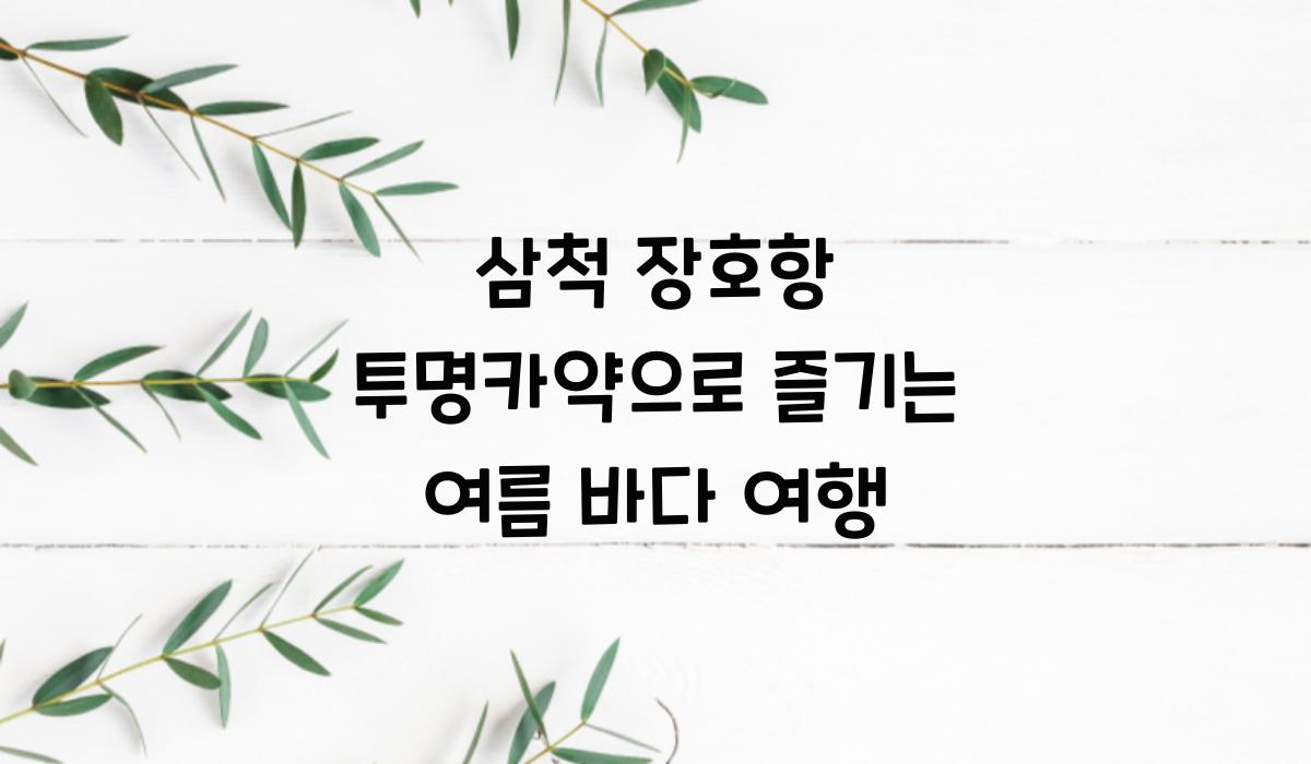 삼척 장호항 투명카약