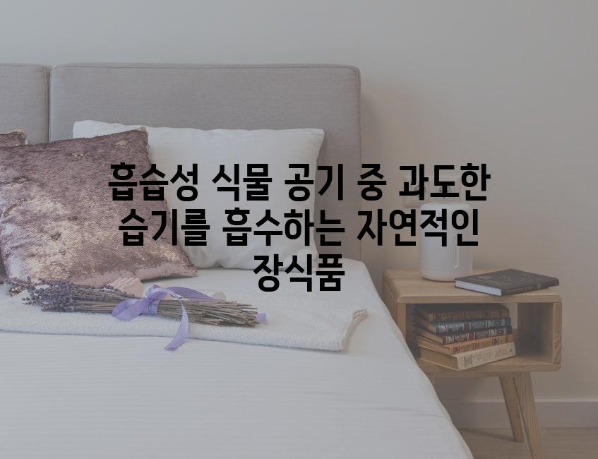 흡습성 식물 공기 중 과도한 습기를 흡수하는 자연적인 장식품