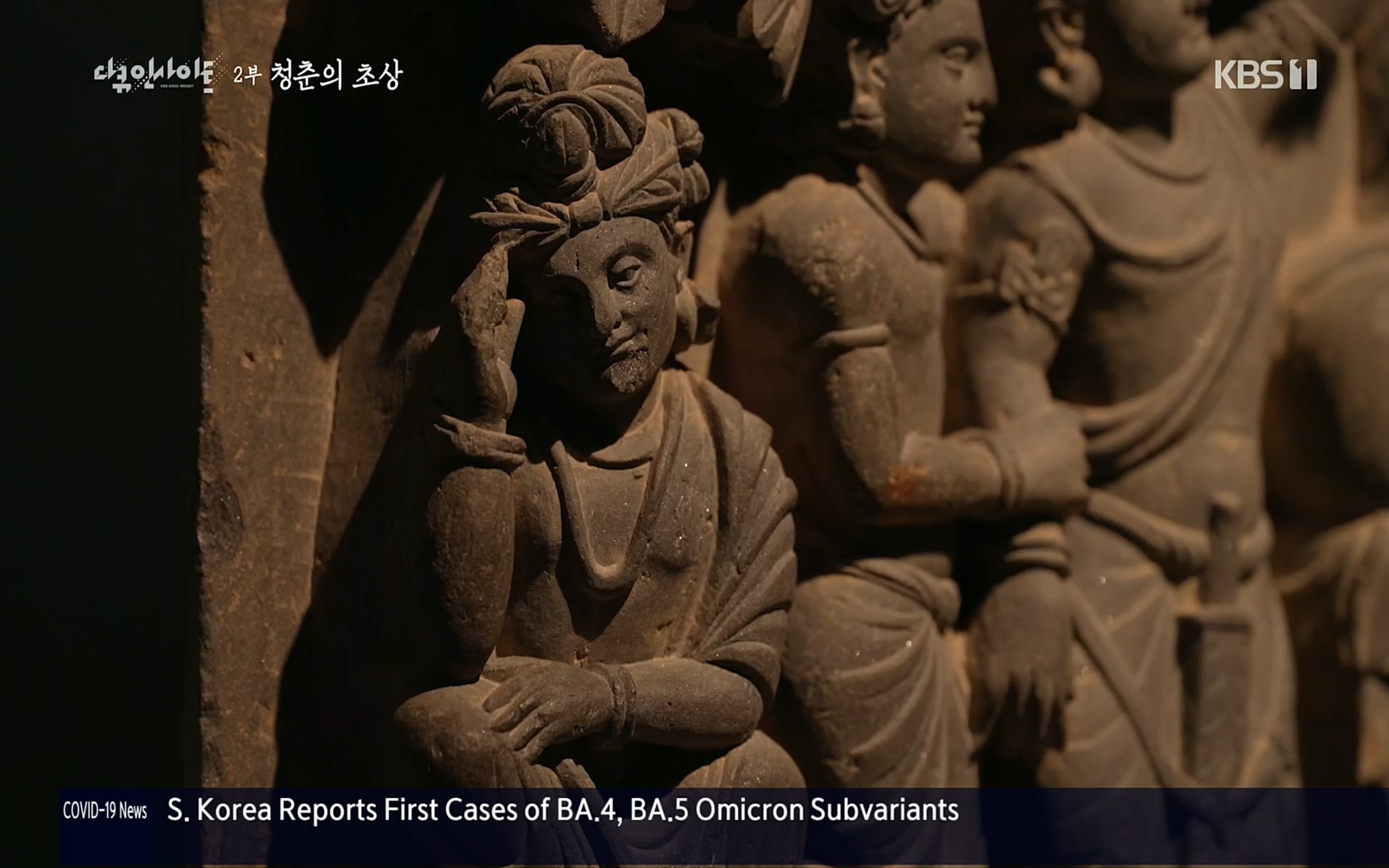 다큐 인사이트.E113.220519p.H264-F1RST.mp4_20220523_205647.714.jpg