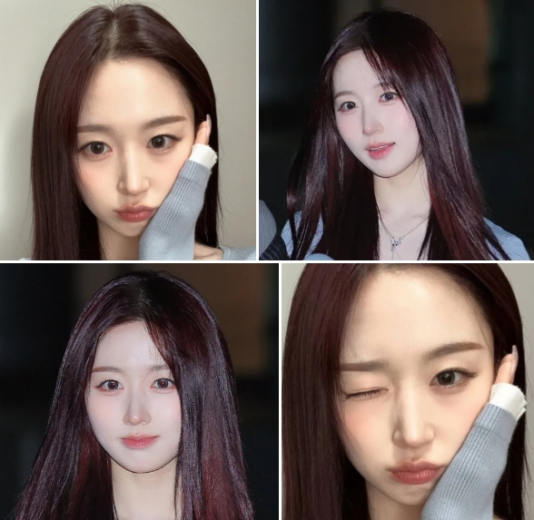 해원처럼 이미지