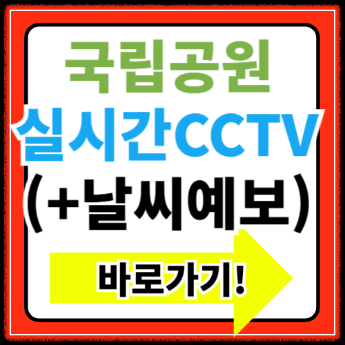 국립공원 실시간 cctv 확인 및 조회 방법, 모바일로도, 기상 상태는 안전을 위해 필수
